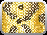 WTP-260 Snakeskin Illusion-Fall Copper