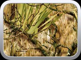 WTP-265 Mothwing-Marsh Mimicry