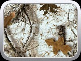 WTP-266 Mothwing-Winter Mimicry