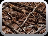 WTP-339 Mathews Lost Camo