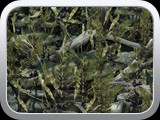 WTP-440 Fishouflage-Walleye