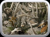 WTP-540 Boneyard-Legends Camo